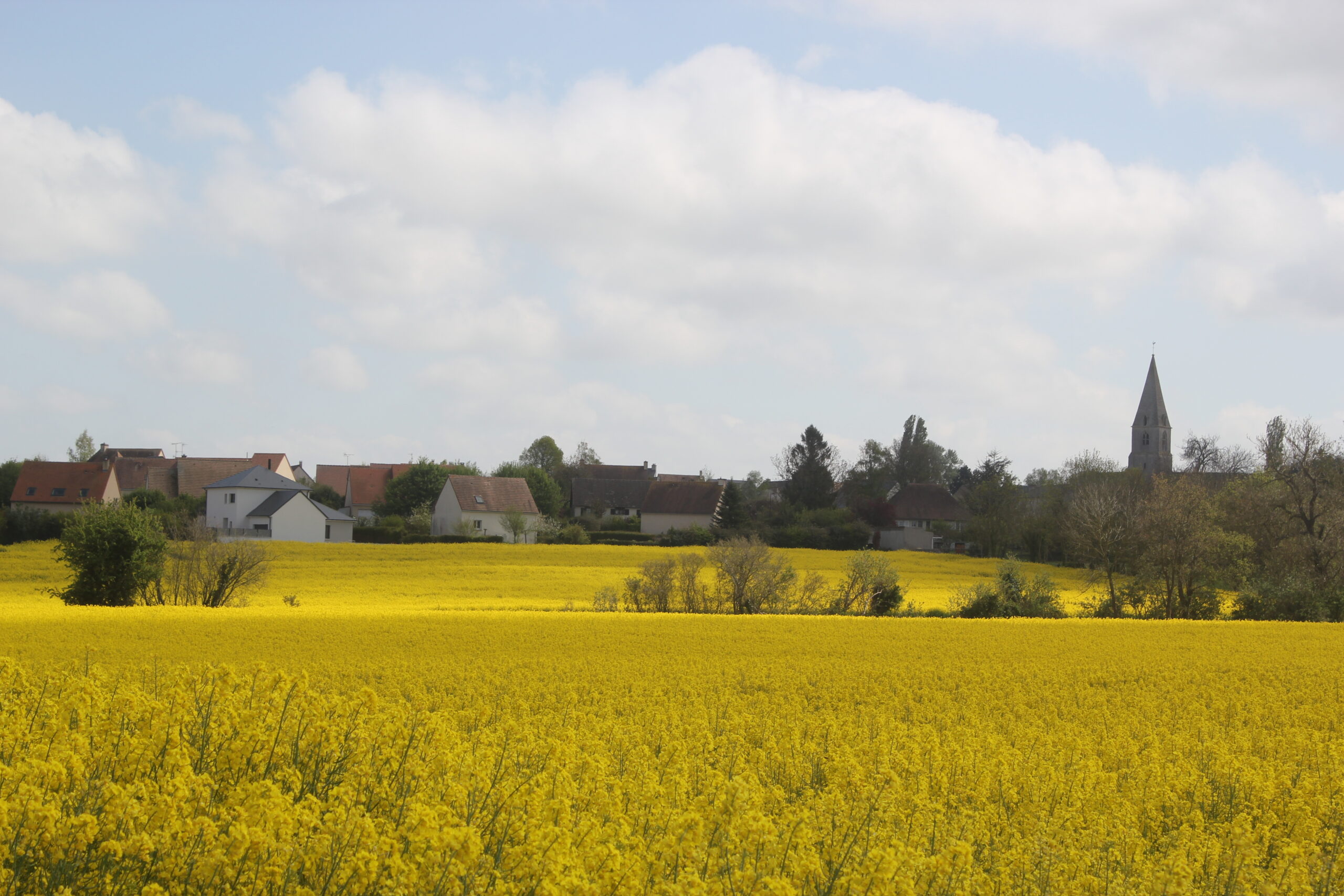 MoulinsenBessin Communauté de Communes Seulles Terre et Mer